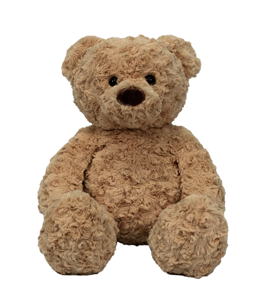 Honey Teddy plush
